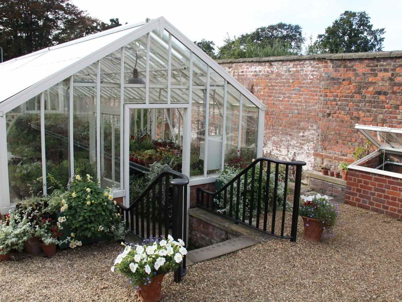 The glasshouse against a brick garden wall, with pots of white flowers on the steps