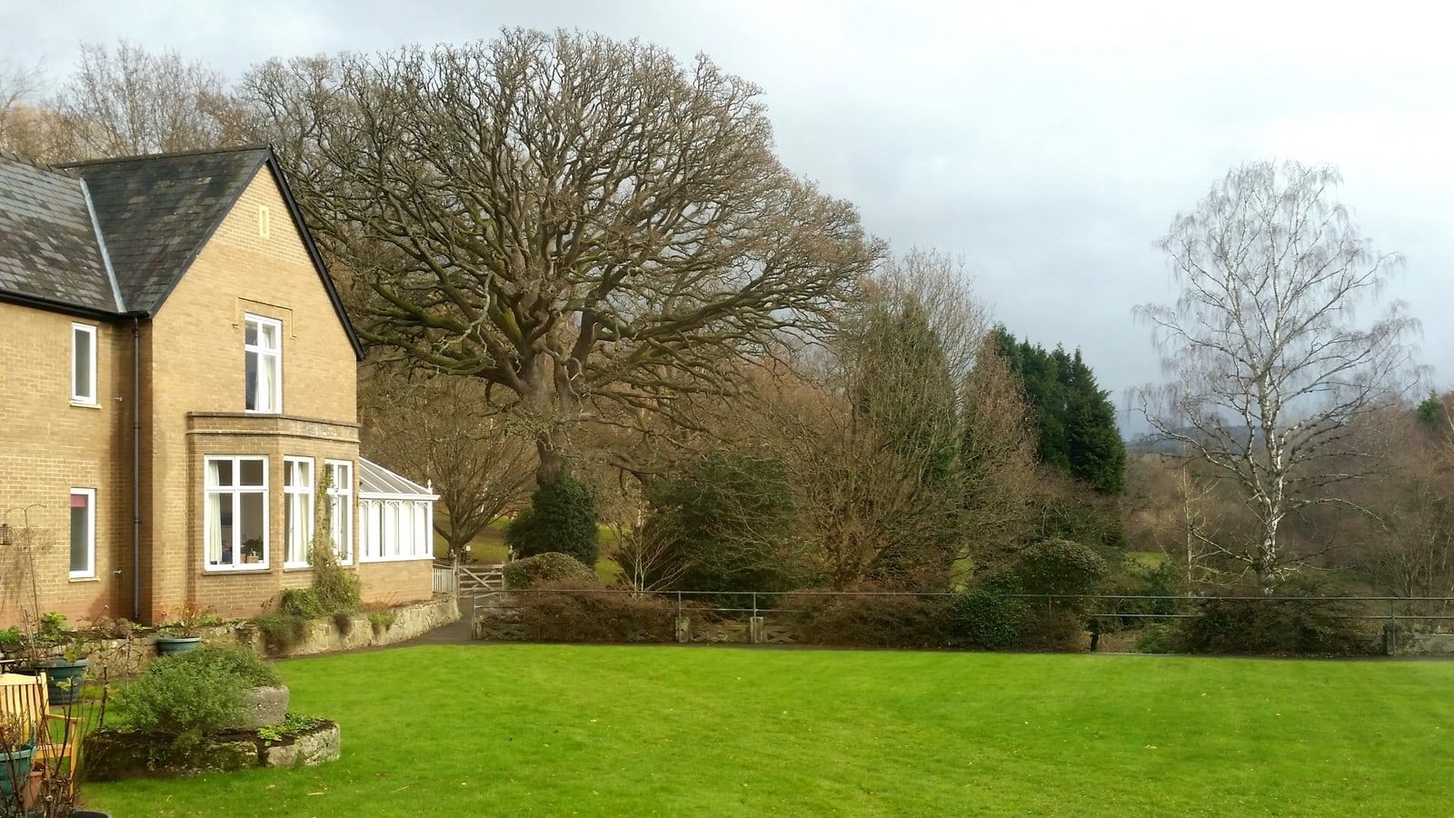 A sunny care home garden with a lawn, flower beds and a bench in front of the house